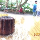 葉名晴烘焙坊-麵包廚房