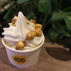 Magi Planet星球工坊爆米花