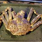 超越活魚活蟹涮涮屋