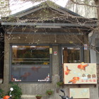 小金魚泰式小館