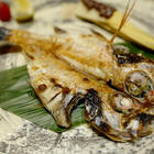 真月新日本料理