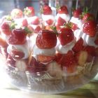 ARROW TREE(花蓮店)