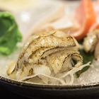 鮨壽司大眾食堂