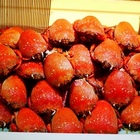 兆品酒店-品東西自助百匯餐廳(一館)