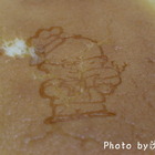 Uncle Tetsu’s cheese Cake  徹思叔叔の店(微風廣場店)