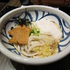 土三寒六讚岐烏龍麵(二店)