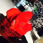 C'est Bon  散步小河岸法式甜點