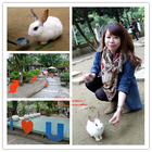 TWO HOUSE 兔子餐廳2店(至善店)