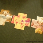 陽光棕梠 SUNSHINE PALM