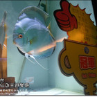 人本自然 七彩神仙魚主題餐廳