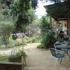 雅植歐洲香草園