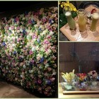 FUJI FLOWER CAFE