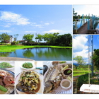 雷公埤冷泉炭烤