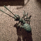 熱鍋螞蟻麻辣火鍋