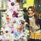 浪漫食彩居酒屋