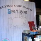 禮來居手打烏龍麵館