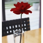 礁溪老爺大酒店-岩波亭新潮流料理