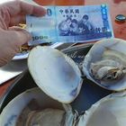 一吃船海鮮碳烤