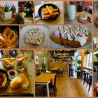 早．迷鹿  Morning Deer