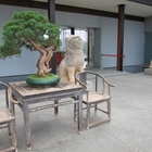 涵碧樓大飯店-湖光軒中餐廳