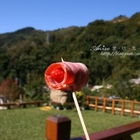 桃群客家活魚餐廳(龍潭店)