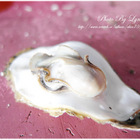 海上皇宮-海洋牧場