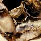 假日飯店-Sam's Cafe & Lounge