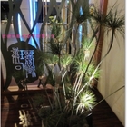 璞石麗緻溫泉會館(璞石餐廳)