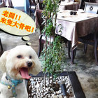 倆相好私房料理