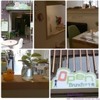 Open brunch 早午餐