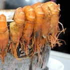 全海岸活蝦之家(台中店)