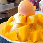 玉井農會芒果冰館