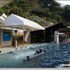 夏之泉美食活水世界