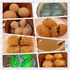 三合院港式飲茶(台北店)