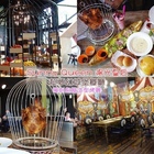 Sunny Queen陽光皇后