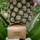 奇美鳳梨酥(奶蛋素可食)