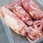 陳新鮮現煮小卷