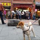 大春串燒夯豆腐