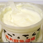 嘉義大學鮮奶優格