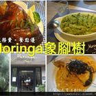 Moringa 象腳樹
