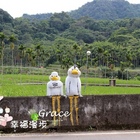 鴨子咖啡 ART'S COFFEE