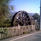 荷塘居田園餐廳