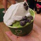 六花 創作冰菓 Rokka gelato