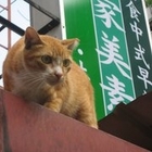 蔡家美素館(土城店)