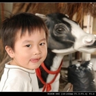 田媽媽ㄋㄟㄋㄟ寶(柳營鄉農會)