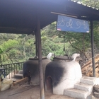 向陽草魚土雞城