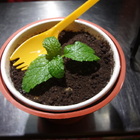 旱溪夜市盆栽冰淇淋