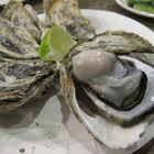 蠔猛澎湖海鮮燒烤