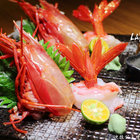 LAFON樂逢居酒屋