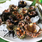 項鍊咖啡工作室